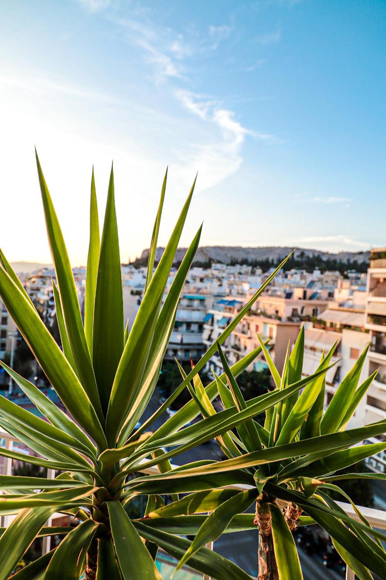 Renovated Apartment With Roof Garden Access, 15 M Walk To Acropolis Athene Buitenkant foto