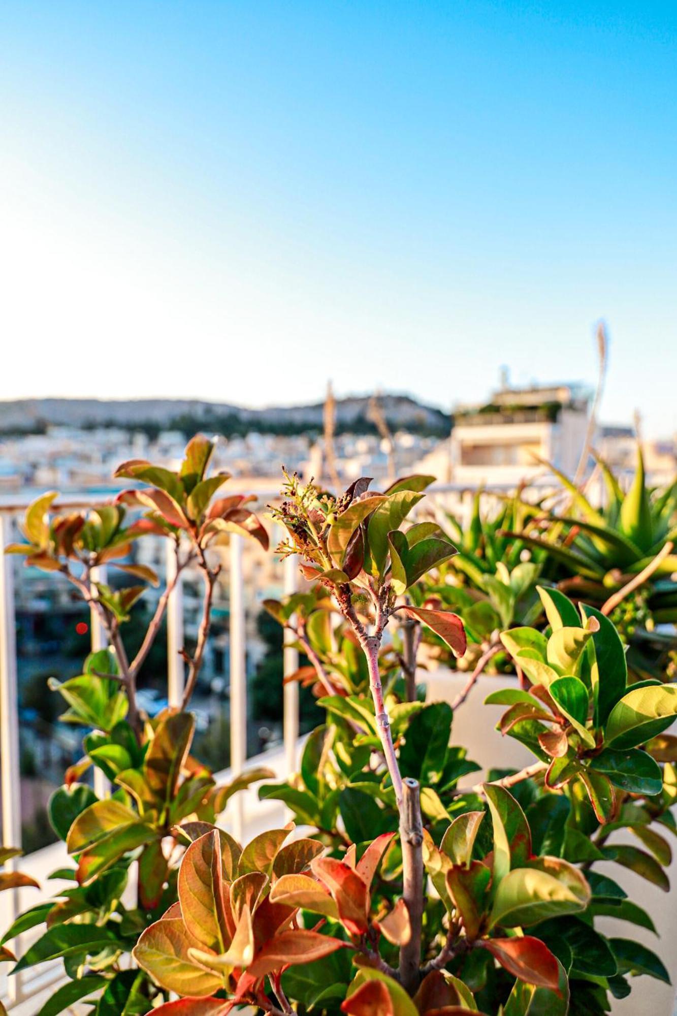 Renovated Apartment With Roof Garden Access, 15 M Walk To Acropolis Athene Buitenkant foto
