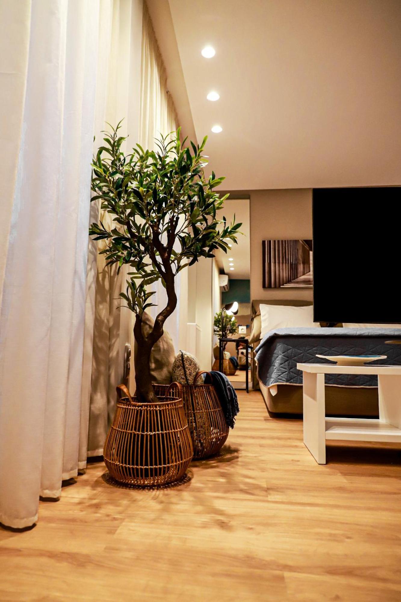 Renovated Apartment With Roof Garden Access, 15 M Walk To Acropolis Athene Buitenkant foto